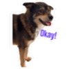 tray_icon #70937 sticker_pack