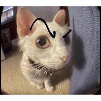 sticker image #24