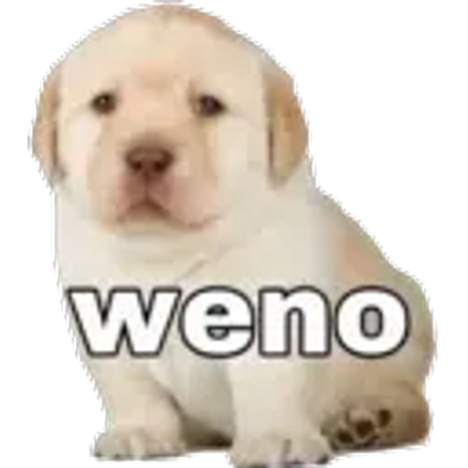 Sticker Maker - 5.12 Serio