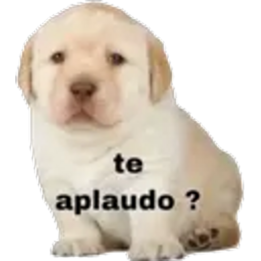 Sticker Maker - 5.12 Serio