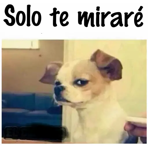 Sticker Maker - 5.12 Serio