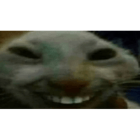 sticker image #1