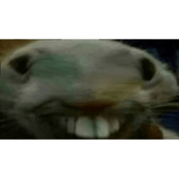 sticker image #13