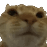 sticker image #10