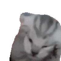 sticker image #20