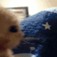 sticker image #23