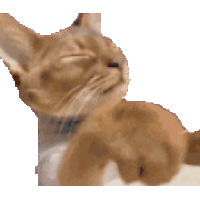sticker image #7