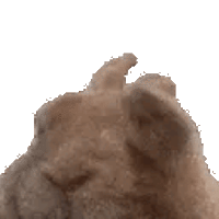 sticker image #28