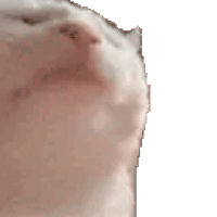 sticker image #5