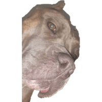 sticker image #1