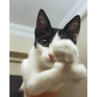 sticker image #28