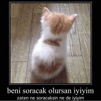 sticker image #17