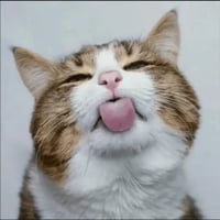 sticker image #4