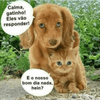 sticker image #14
