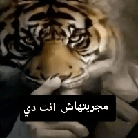 sticker image #13