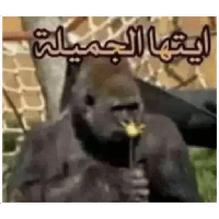 sticker image #15