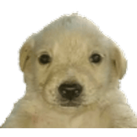 sticker image #4