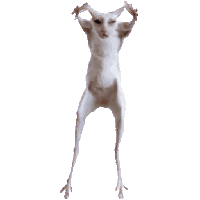 sticker image #24
