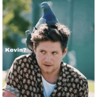 sticker image #1