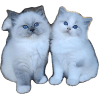 sticker image #10