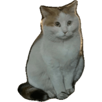 sticker image #13
