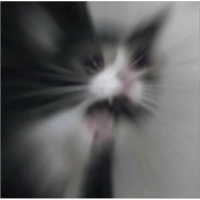 sticker image #21