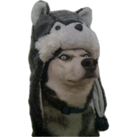 sticker image #22