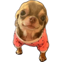 sticker image #6