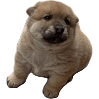 sticker image #9