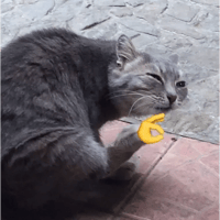 sticker image #21