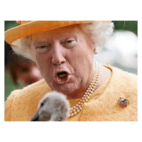 sticker image #27