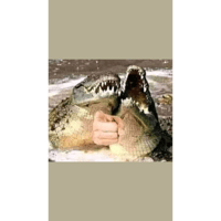 sticker image #11