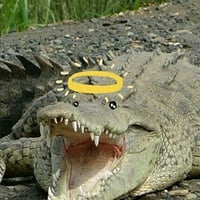 sticker image #14