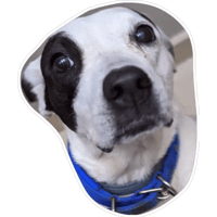 sticker image #10