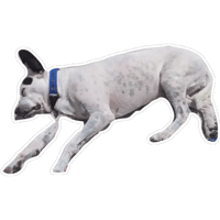 sticker image #6
