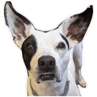 sticker image #7