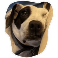 sticker image #8