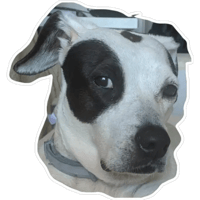 sticker image #9