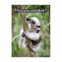 sticker image #2