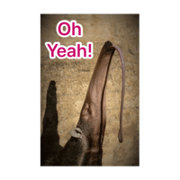 sticker image #3
