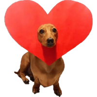 sticker image #15