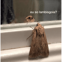 sticker image #10