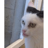 sticker image #17