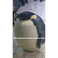 sticker image #26