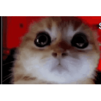 sticker image #16