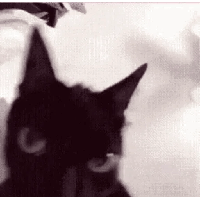 sticker image #19