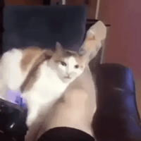 sticker image #28