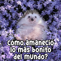 sticker image #13