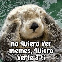 sticker image #14