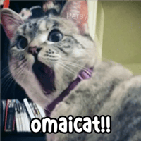 sticker image #15